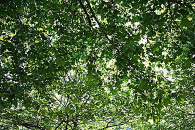 《光环：无限》新视频展示对抗及排位多人模式设定