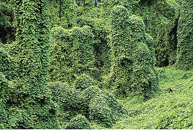 岸本守央透露《索尼克：未知边境》大型更新档开发中